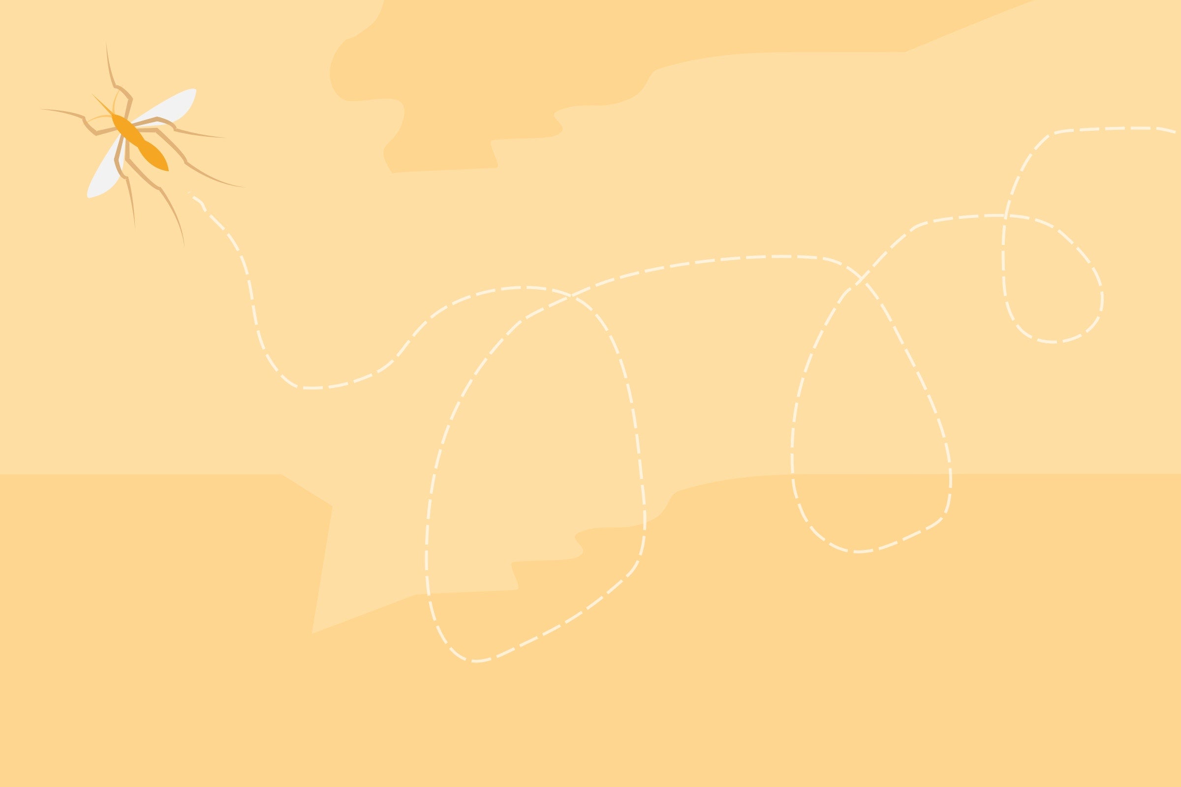 cartoon picture with yellow background of bug