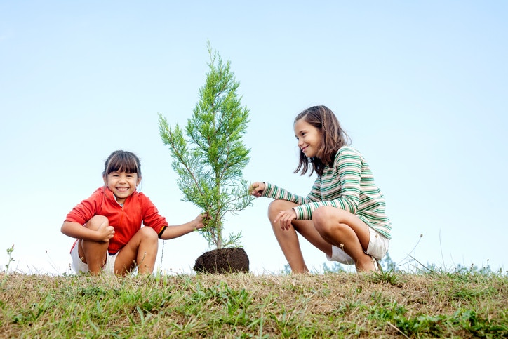 Two girls planting a tree