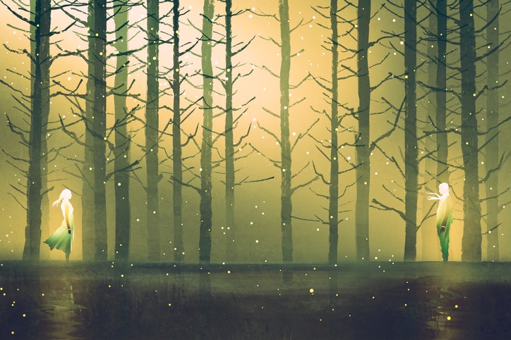 two woman's standing opposite of each other against night forest,illustration painting