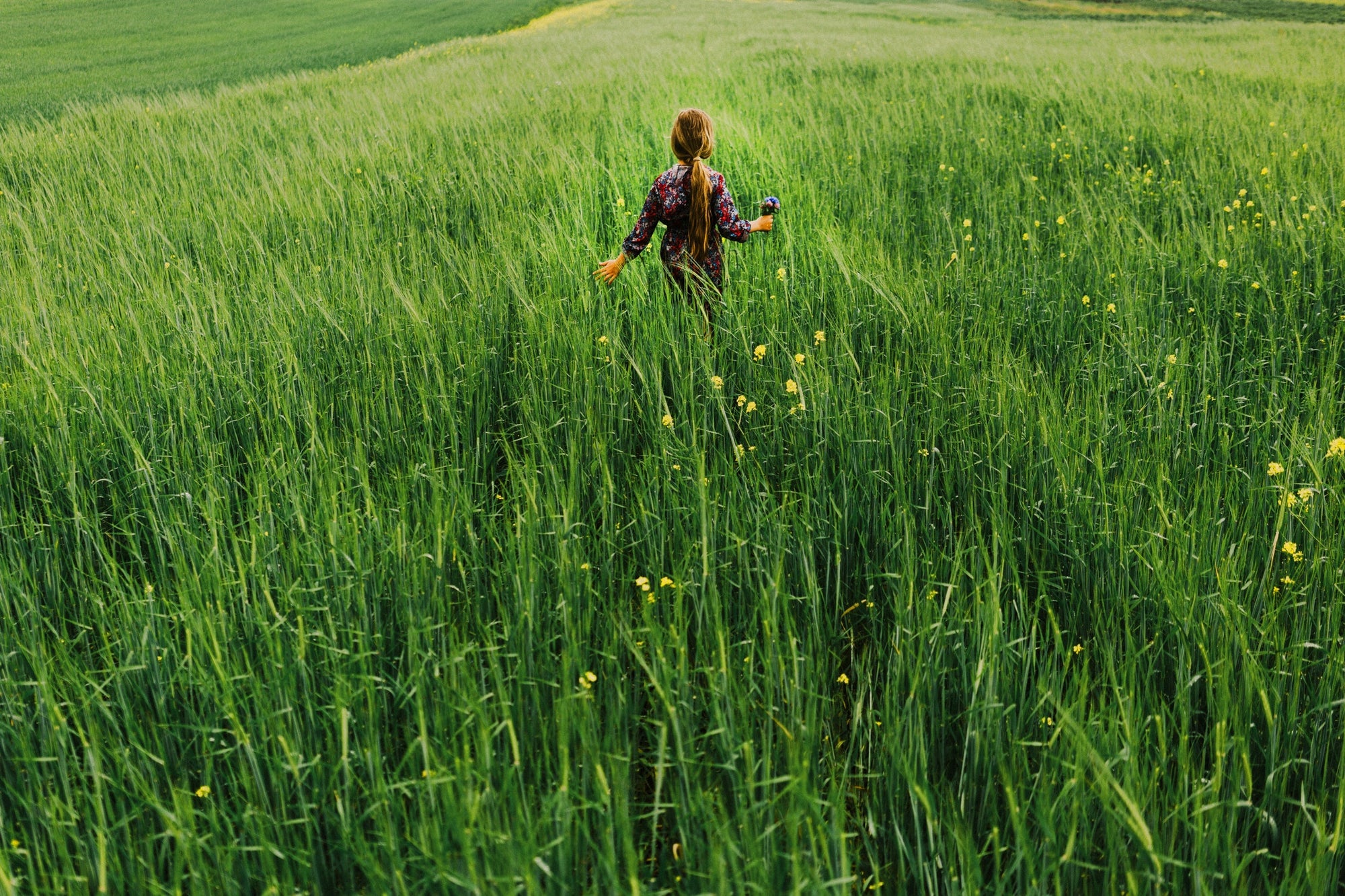 Rear view of a girl walking in field of long grass