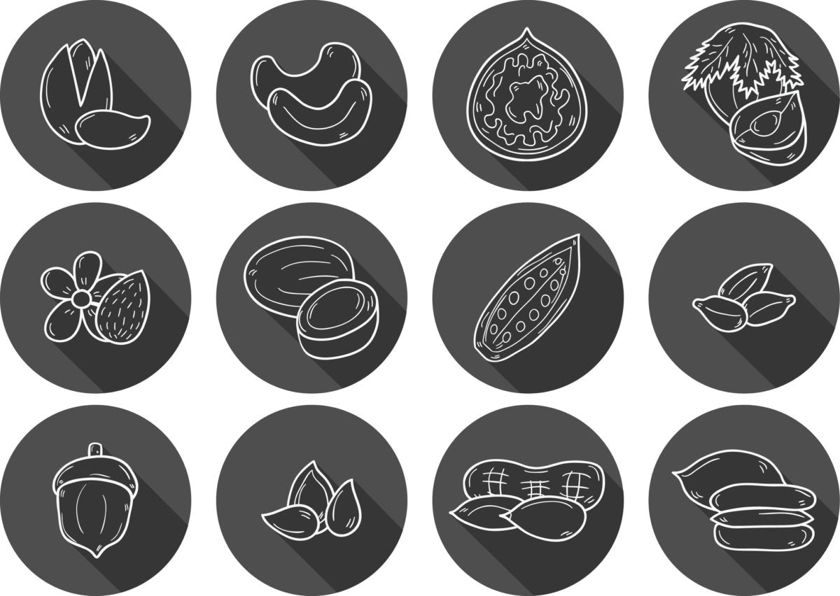 tree nut icons