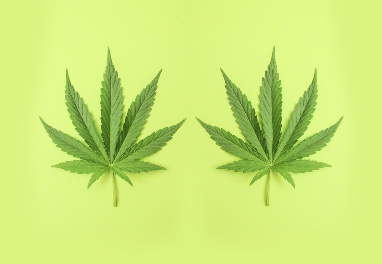 two green leafs with light green background