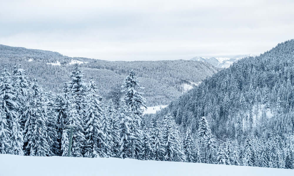 winter