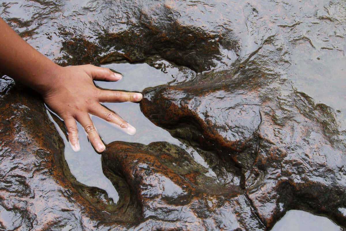 Hand touching rock in stream