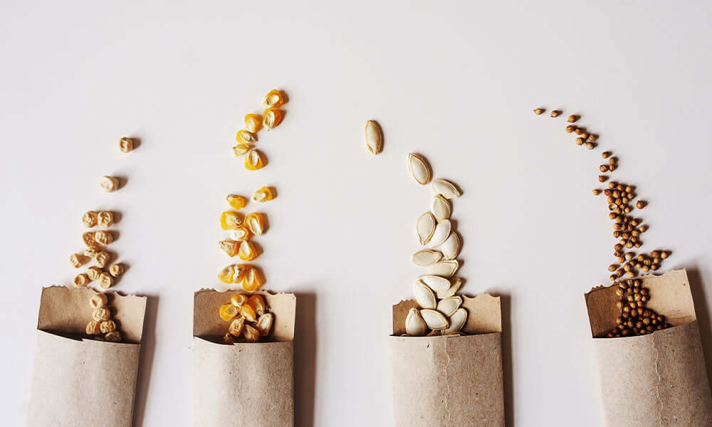 seeds