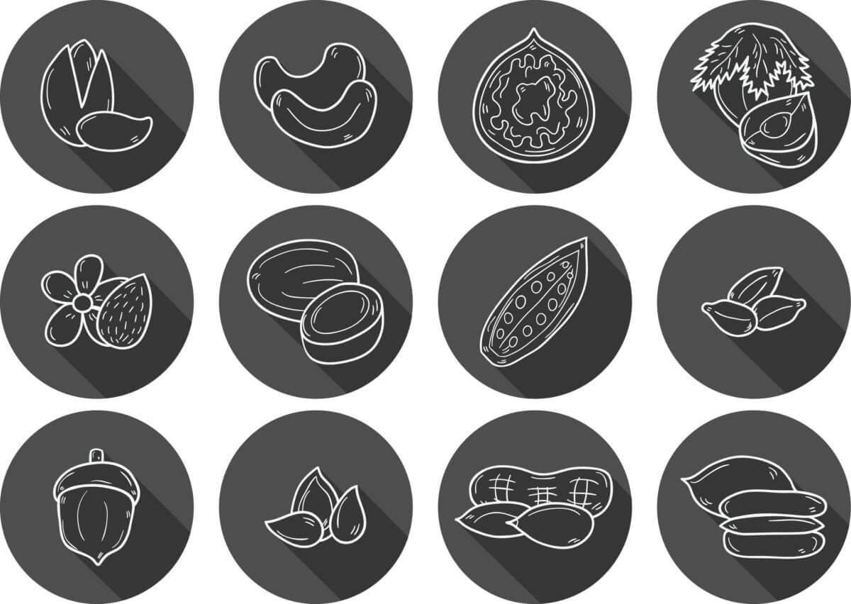 tree nut icons