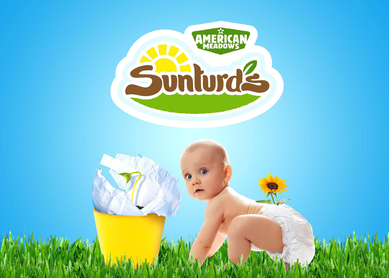 Sunturds american meadow baby on a grass