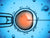 dna in human egg cell