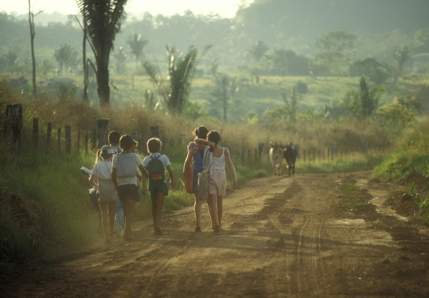 group of children walking on the muddy road