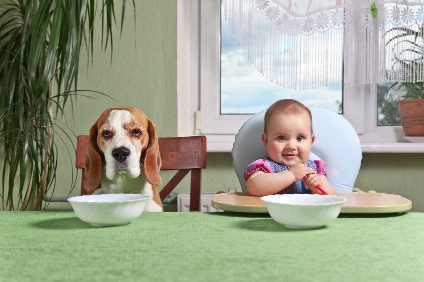 kid and dog sitting at dinner table waiting for food