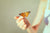 butterfly on a woman's finger