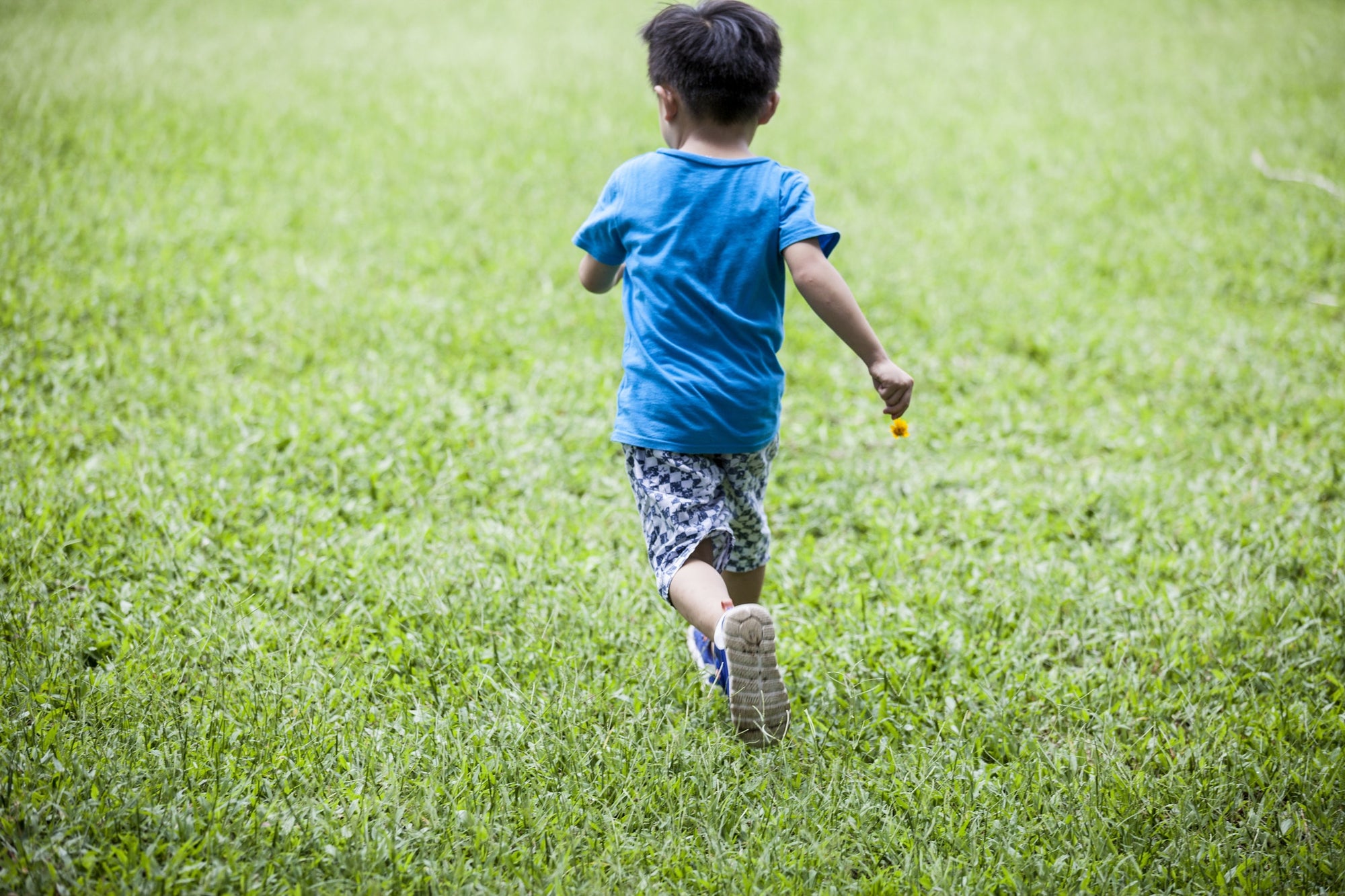boy running in garden holding a flower