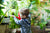 toddler giving water to the plants 