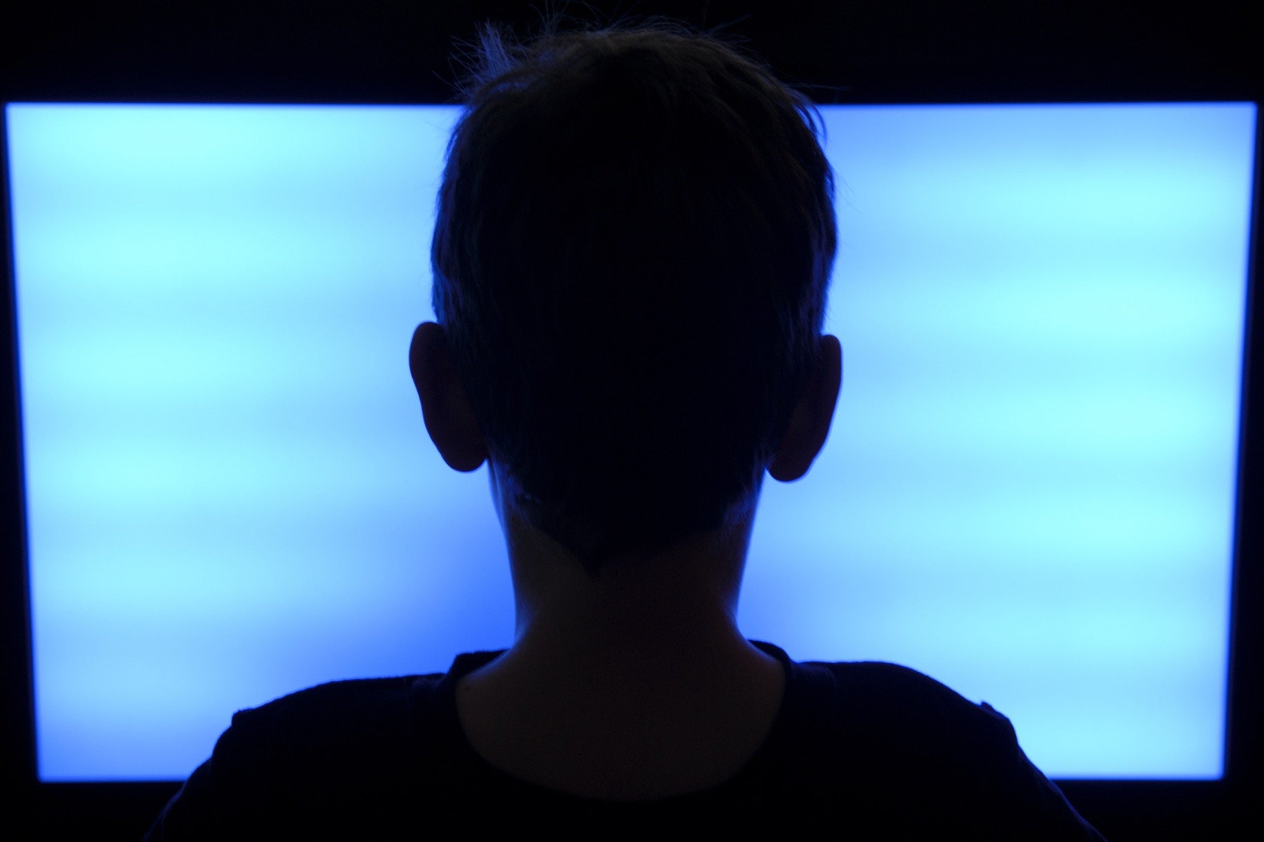 rear view of boy looking at the screen