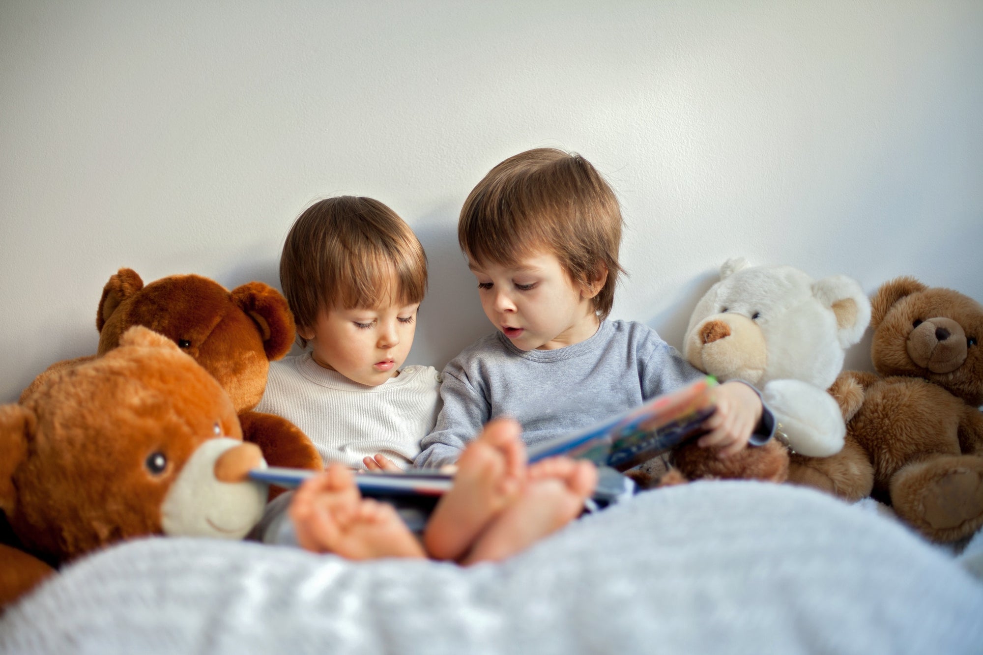 Two boys with teddy bears around, reading a book,