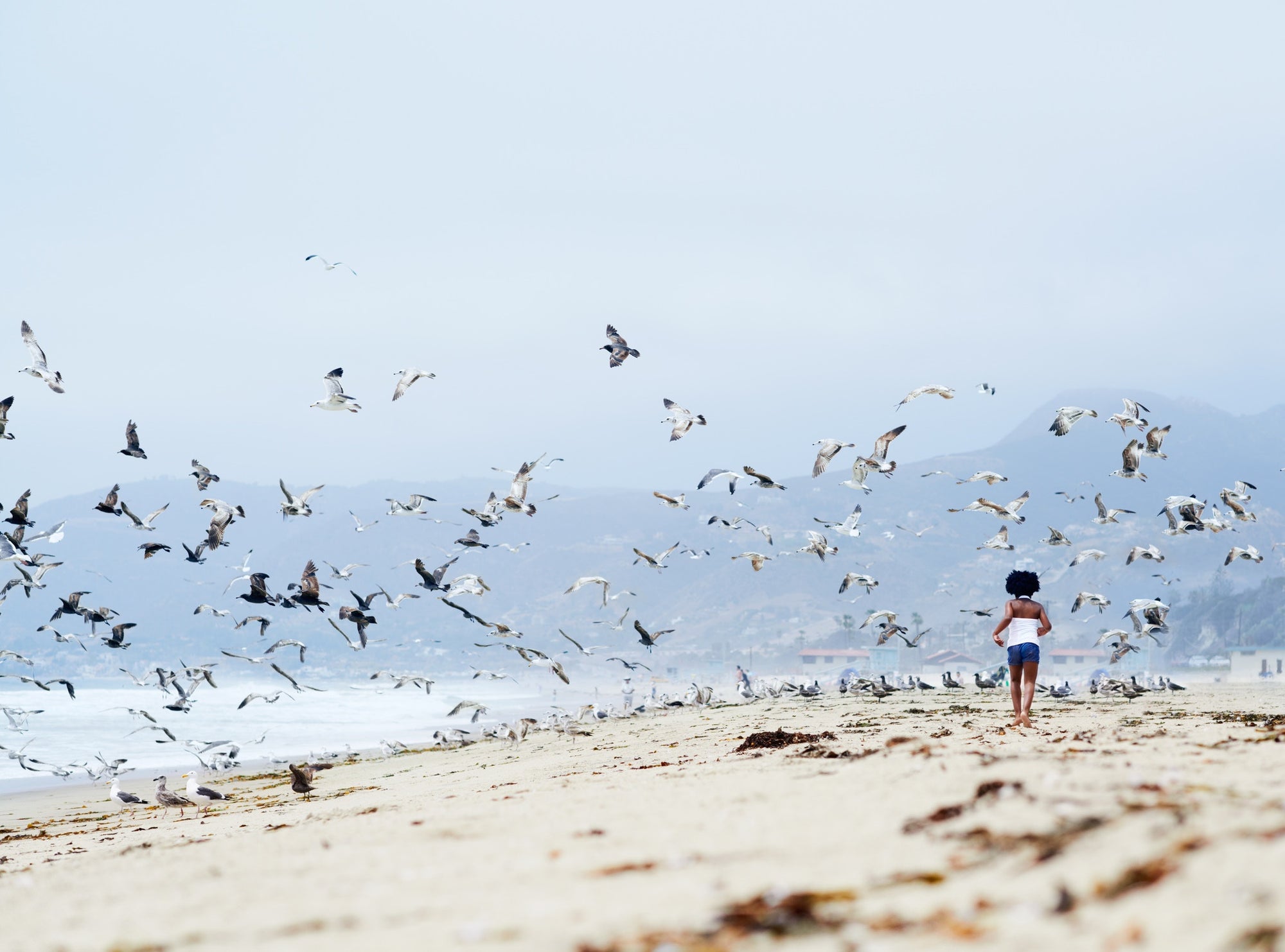 Girl running on beach with birds flying