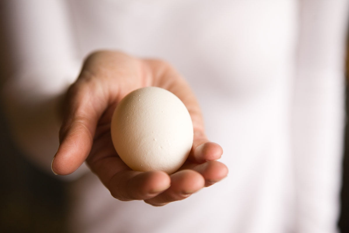 egg in hand