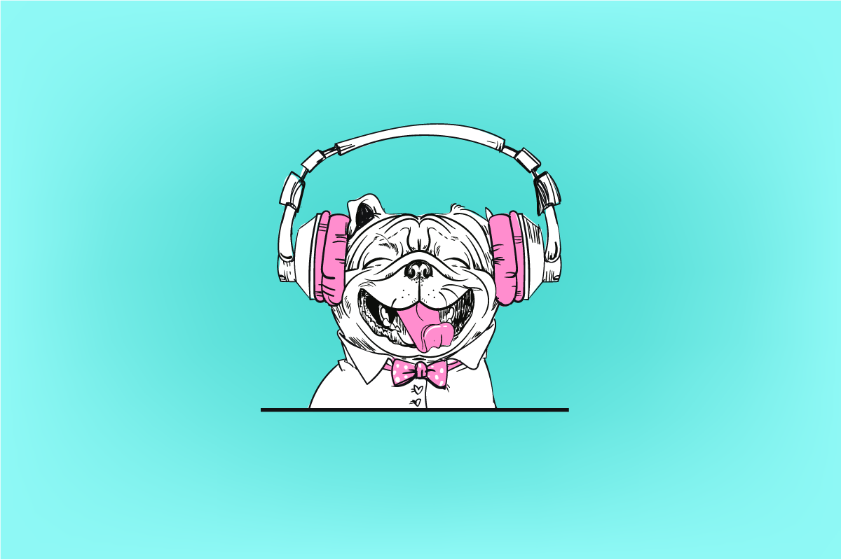 A dog is enjoying by listening music