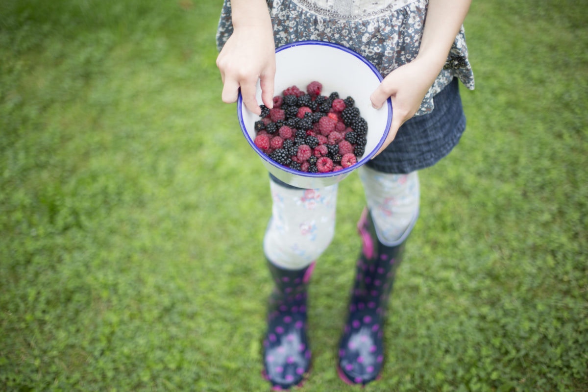 kid showing a bowl full of blueberries and raspberries