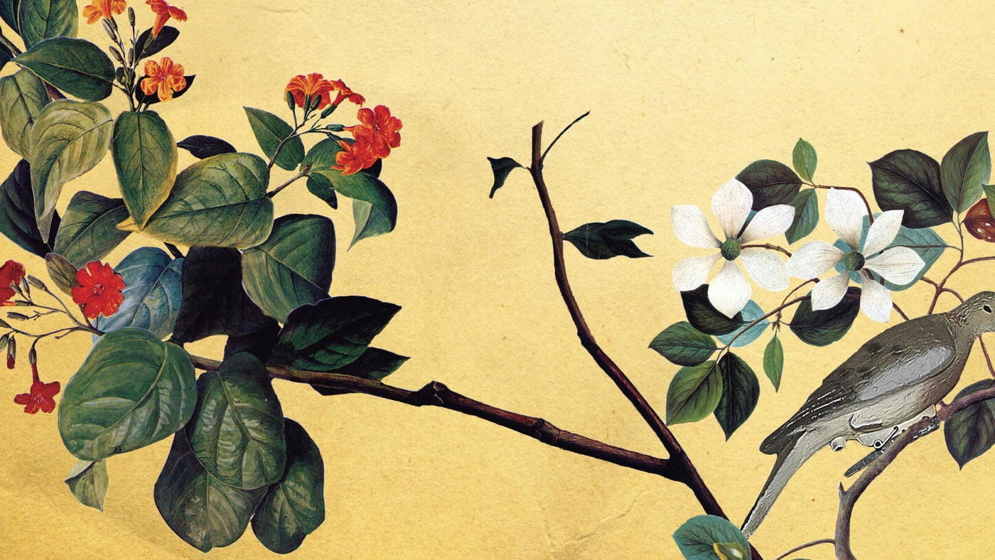 painting of a tree branch with flowers