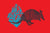 armadillos on red background vector illustration