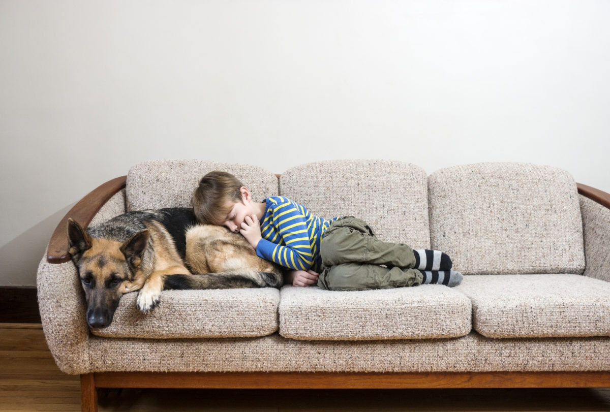 little boy sleeping on couch with dog