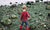 boy with boots walking over rocks towards the sea