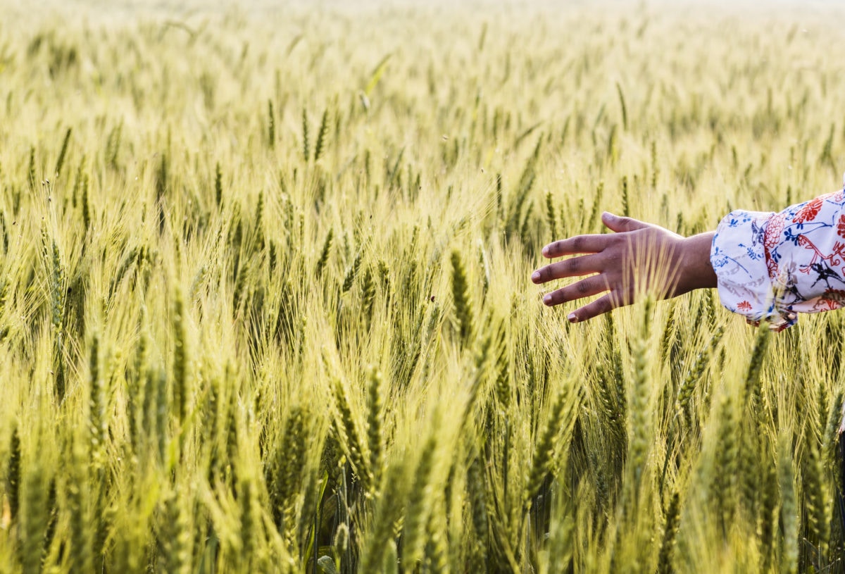 Waiving hand in a field