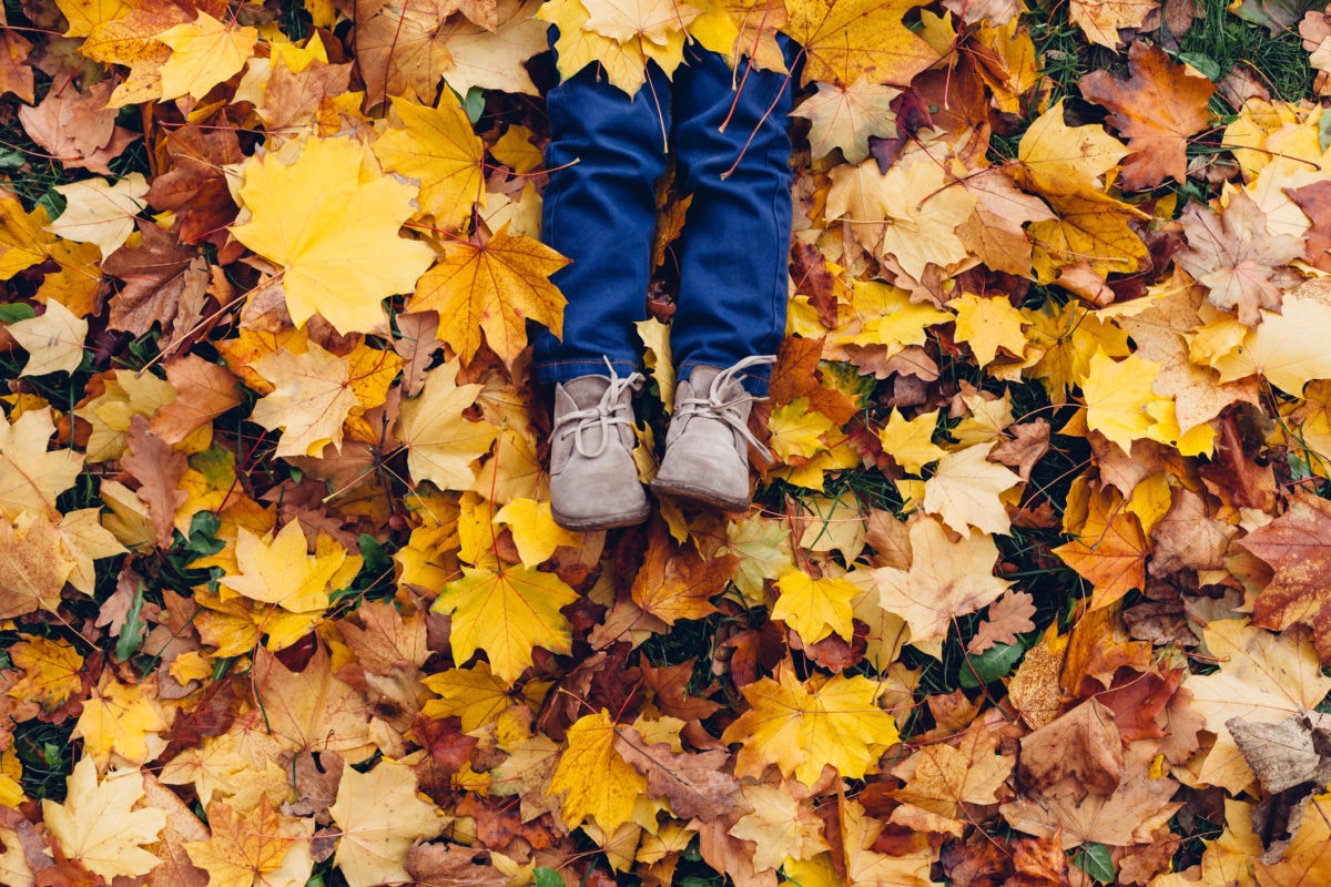 A kid is sitting under fallen leaves