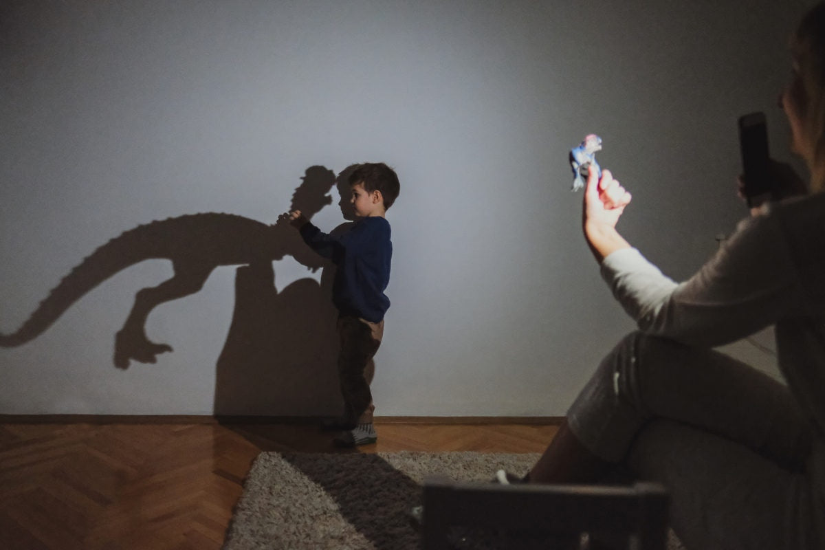 boy is playing with dinosaur shadow