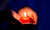 Hand holding a burning candle in dark