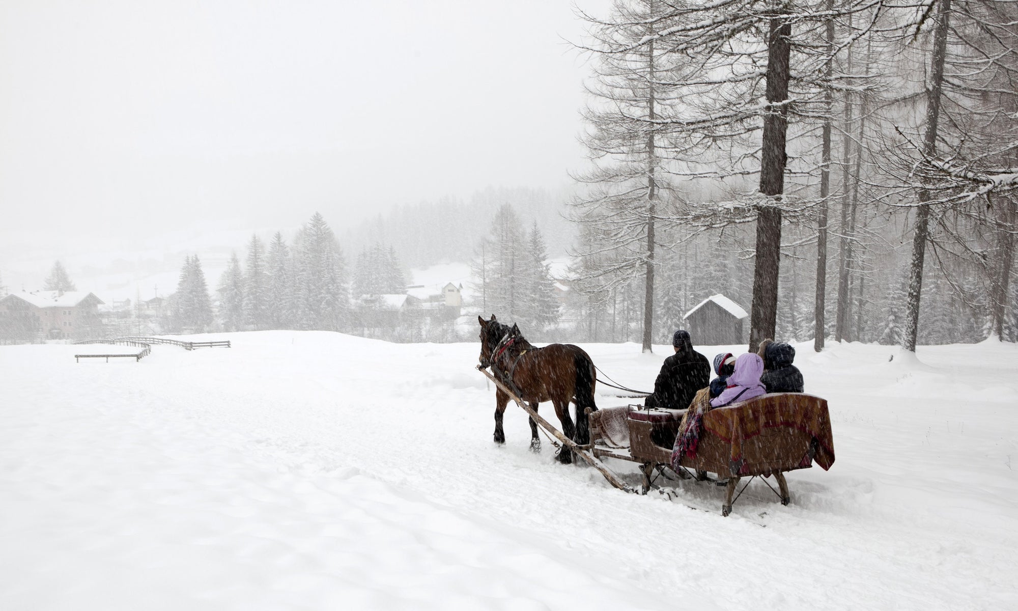 sleigh ride with snow coming down