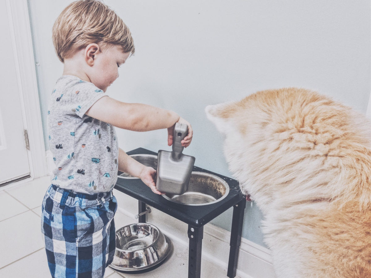 A kid is feeding to a cat
