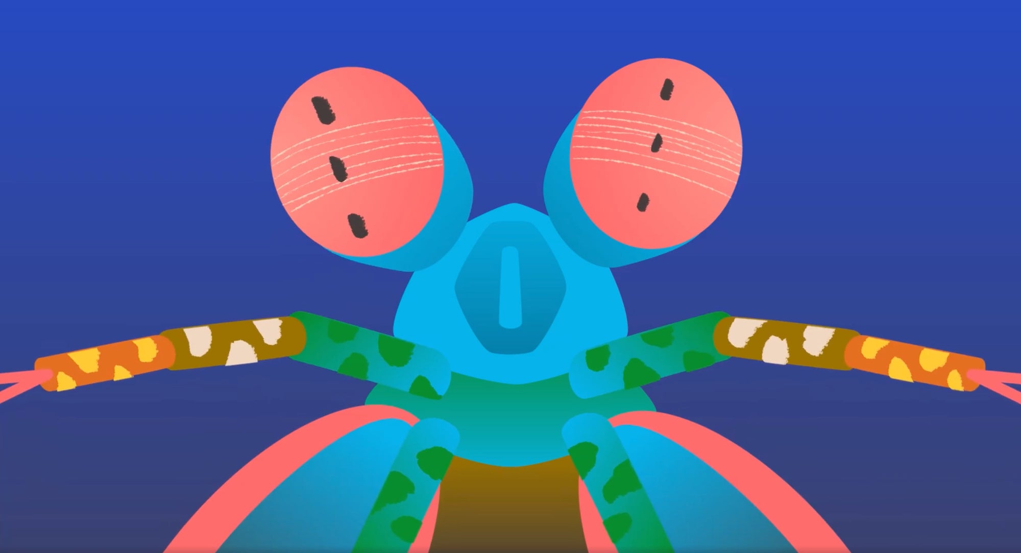 cartoon bug with a lot of color