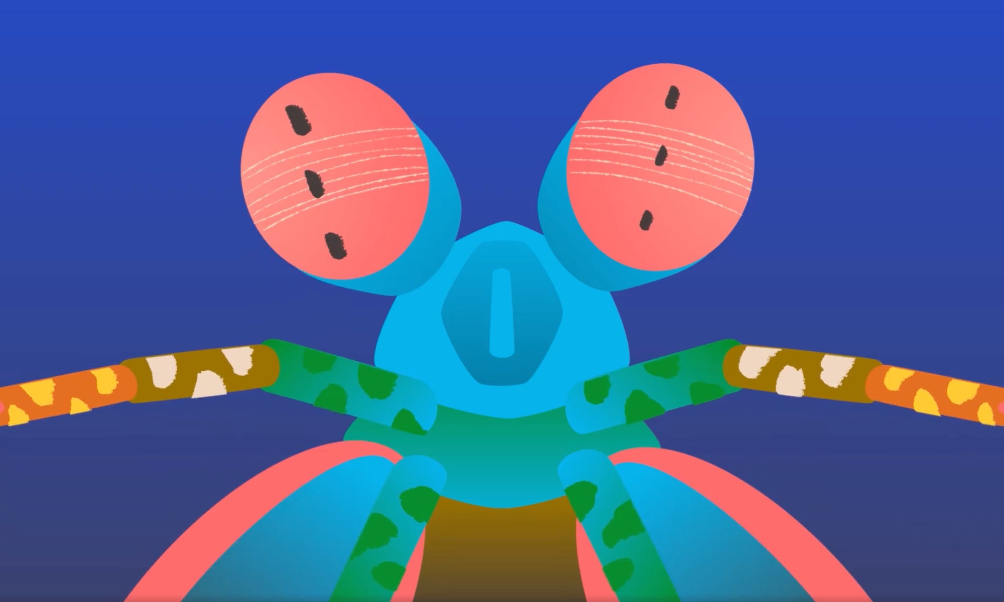 cartoon bug with a lot of color