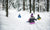 Childrens sliding on the snow 