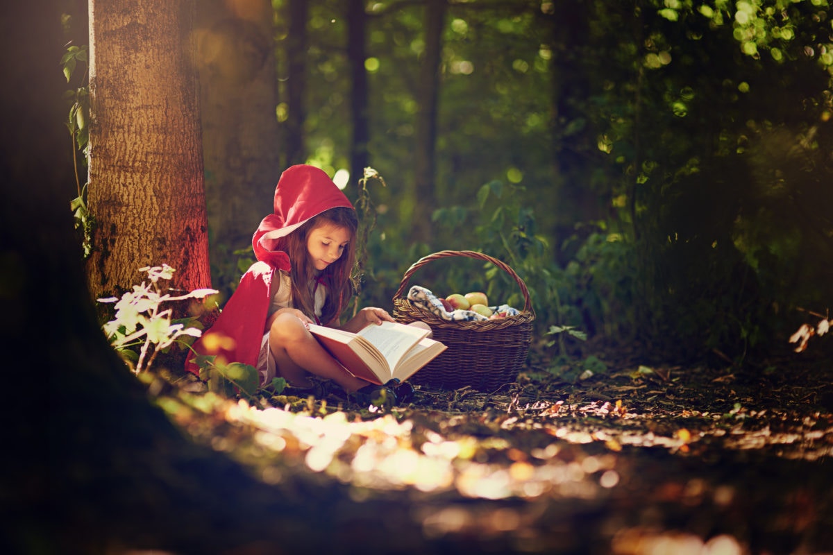 girl with with a basket and book in the forest