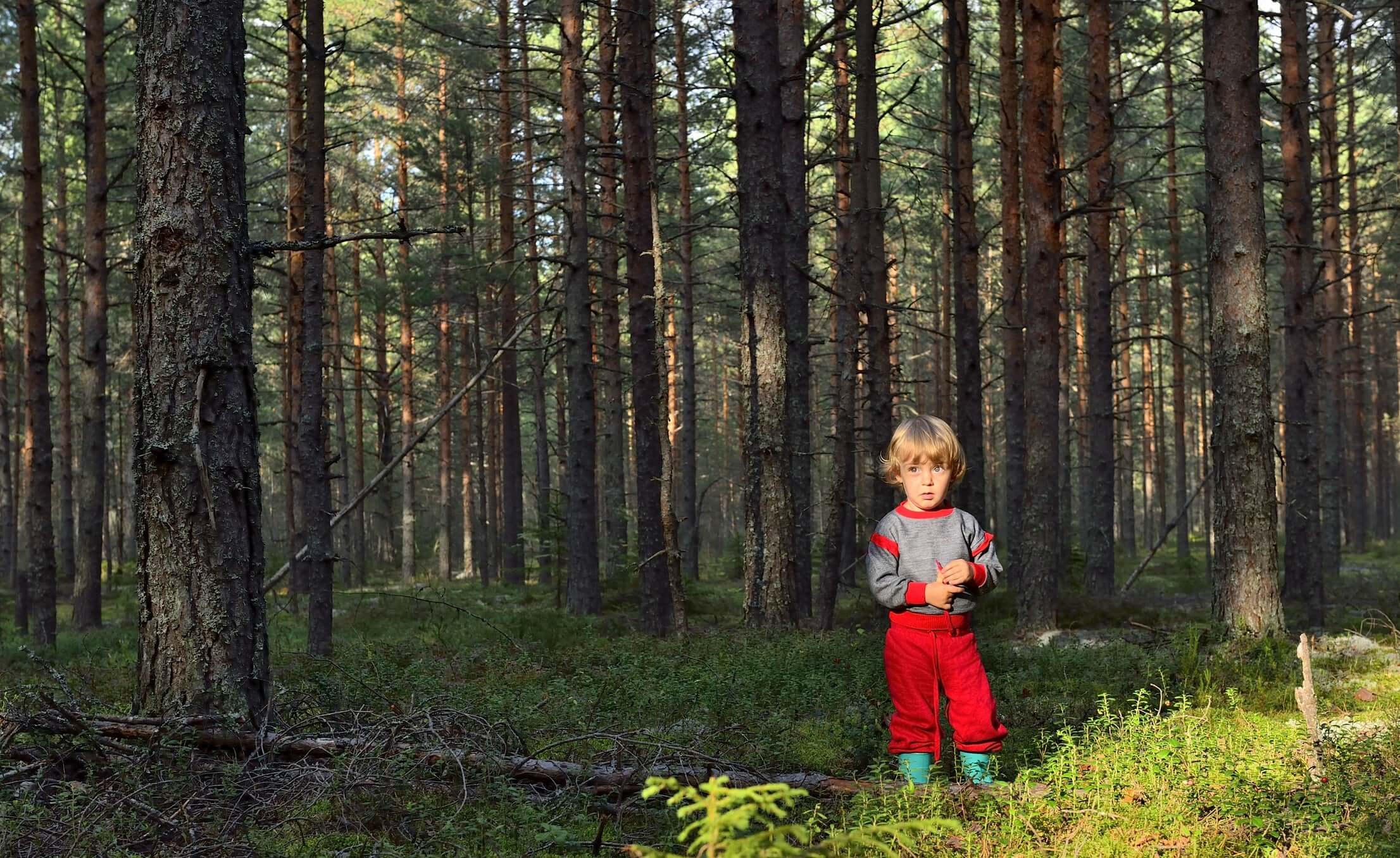 A kid in the forest