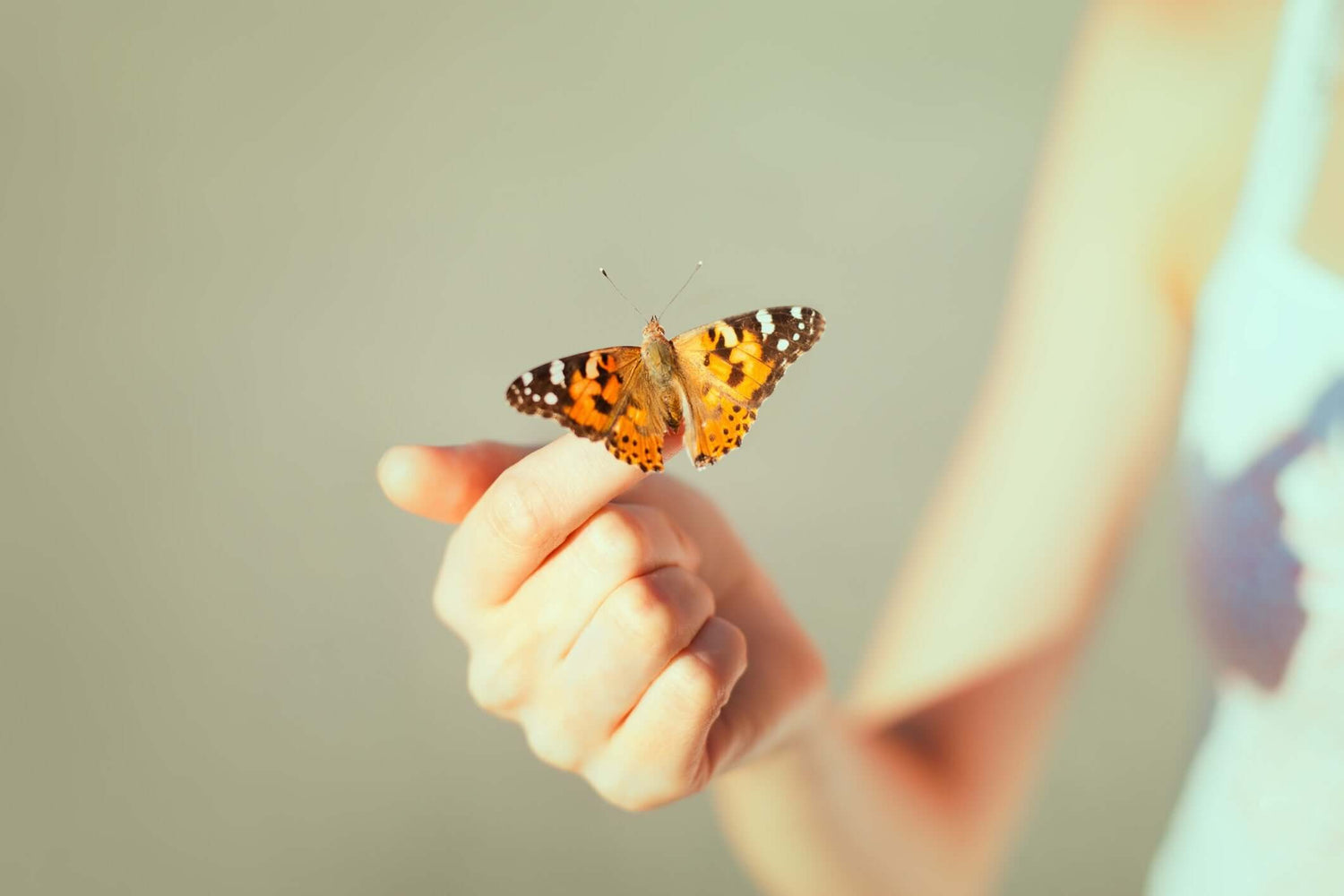 butterfly on a woman's finger