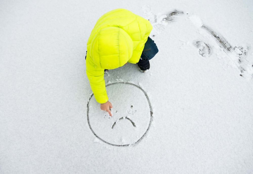 Another Snow Day, Without the Magic