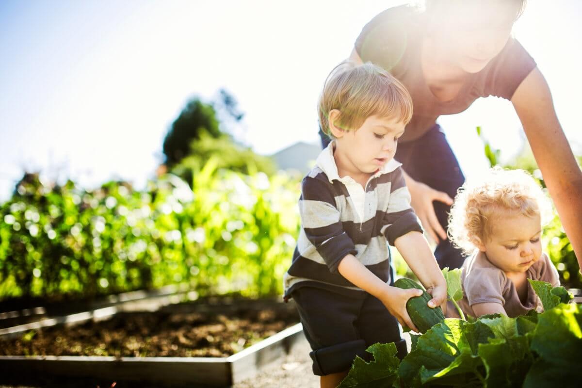 Mother Gardening With Her Kids