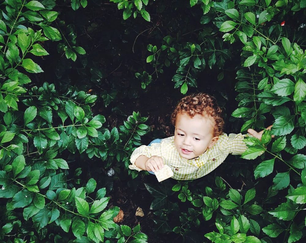 Practicing Reverence for the Wild