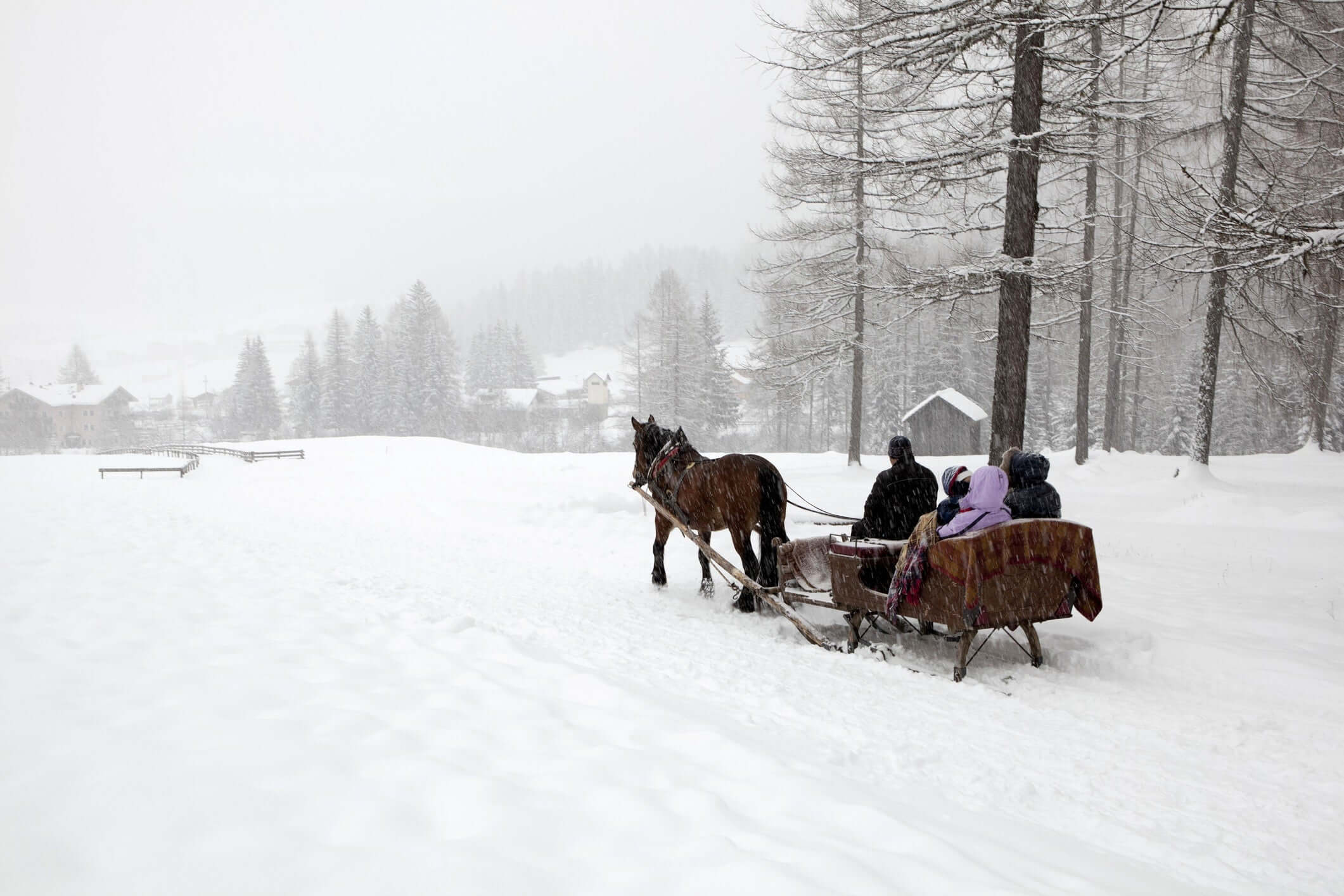 sleigh ride with snow coming down