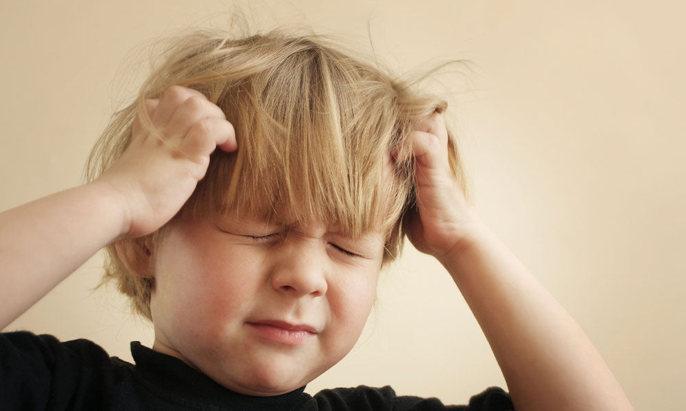 itchy scalp from head lice