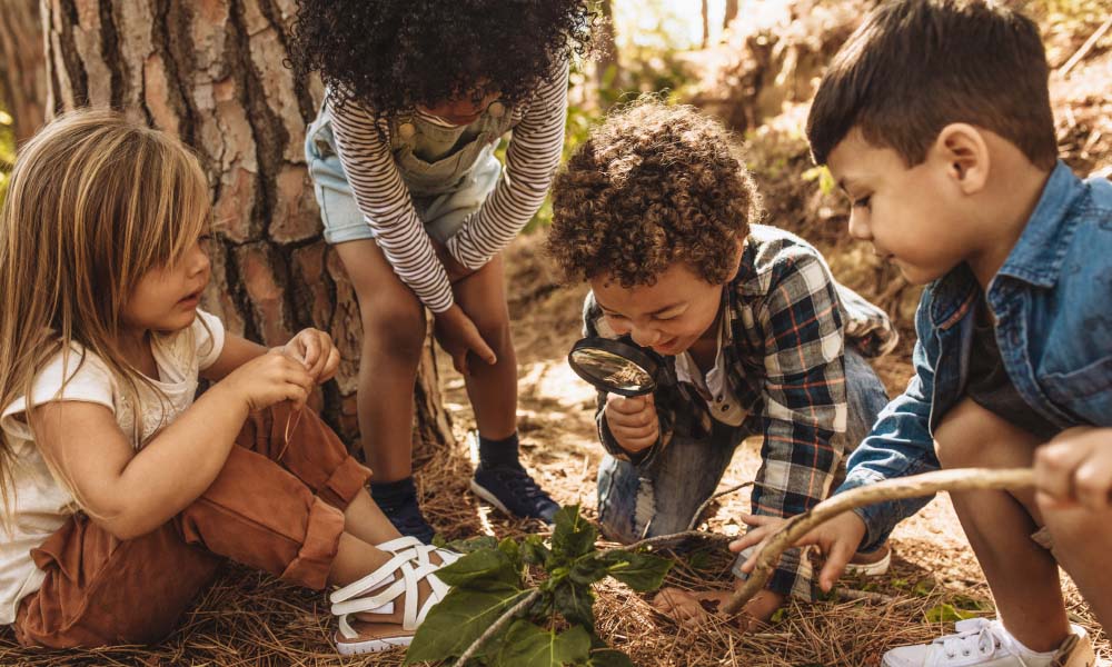 kids in forest with a magnifying glass