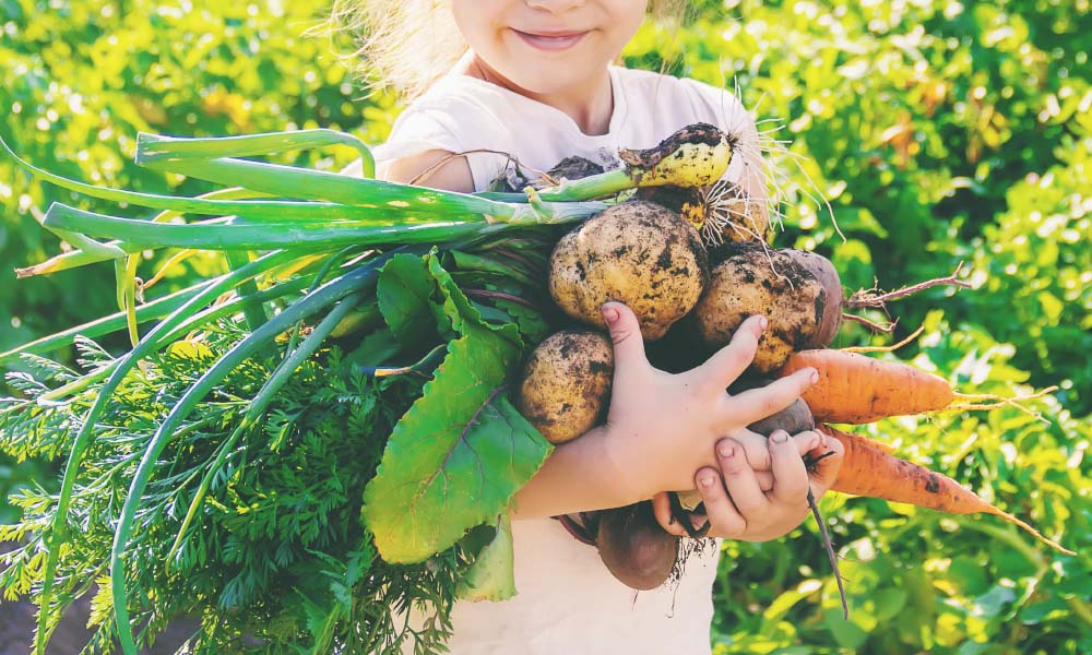 young child holding vegatables