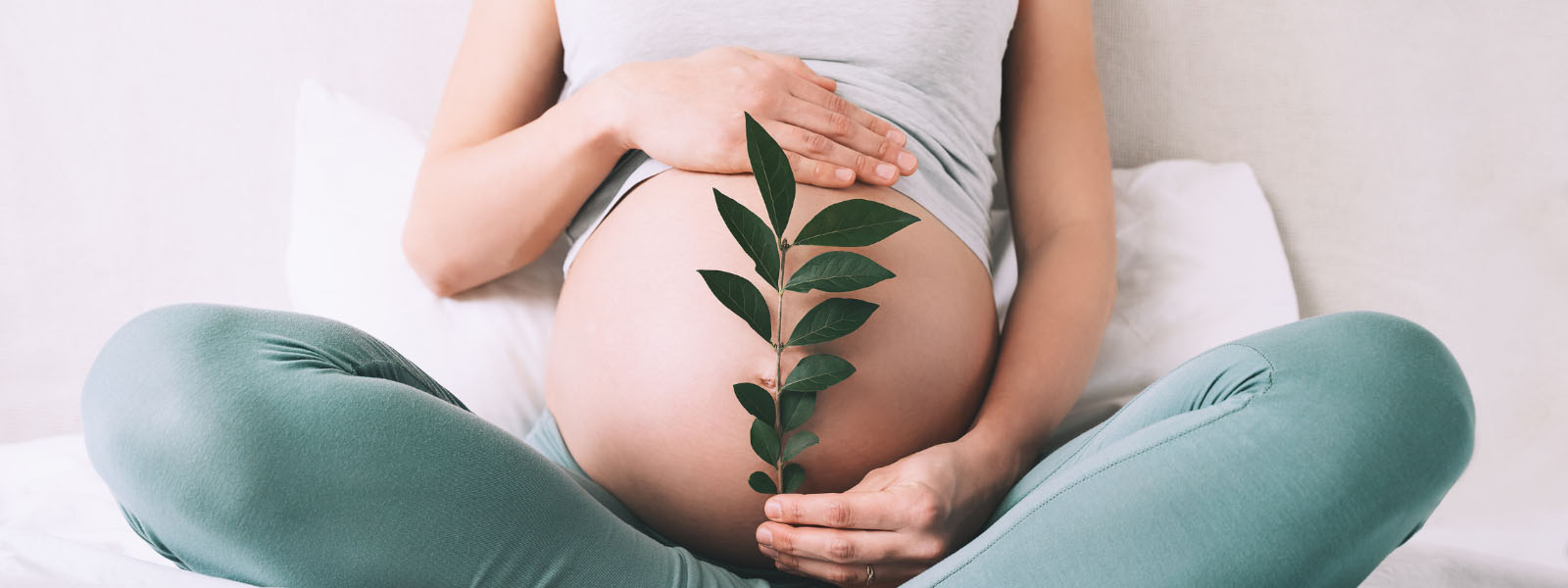 pregnant woman holds green sprout plant near her belly