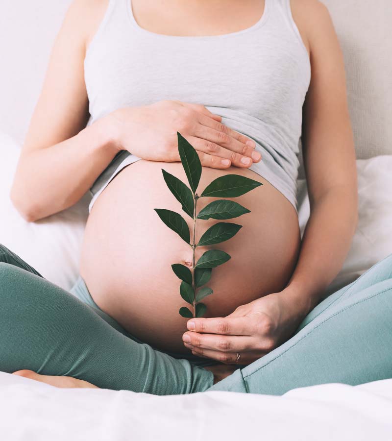 pregnant woman holds green sprout plant near her belly